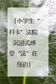 小学生“打卡”法院 沉浸式感受“法”在身边